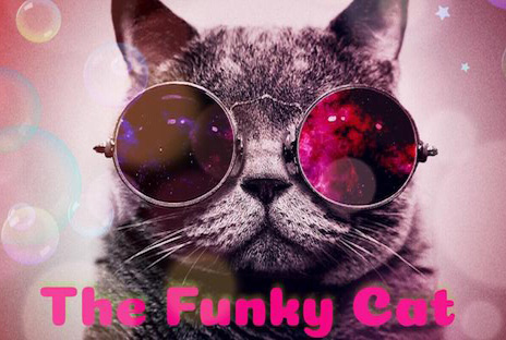 Funky Cats