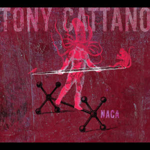 Naca copertina